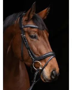 Ogłowie dla konia anatomiczne Covalliero