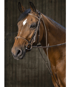 Czambon skórzany Eric Thomas Pro