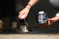 Olej do wrażliwych kopyt Cavalor PodoSens 500 ml