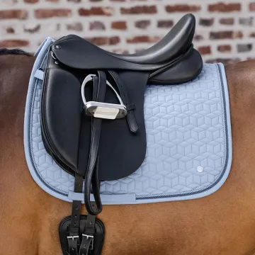 Czaprak VSS Waldhausen Philadelphia