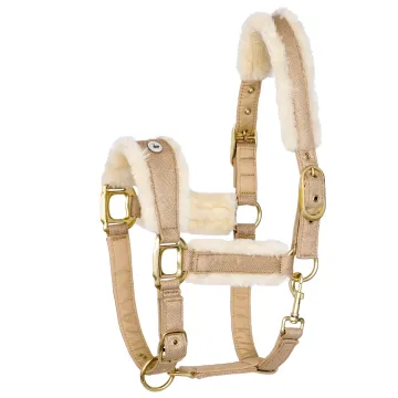 Kantar Equestrian Queen Rotterdam 25SS