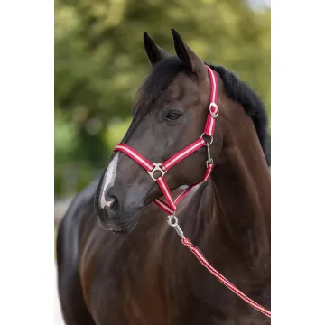 Kantar Covalliero Hippo