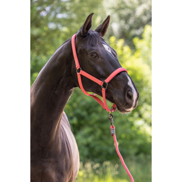 Kantar Covalliero S/S 2025