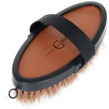 Szczotka do pielęgnacji 18,5cm Covalliero Deluxe