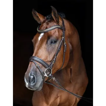 Ogłowie Covalliero Clincher