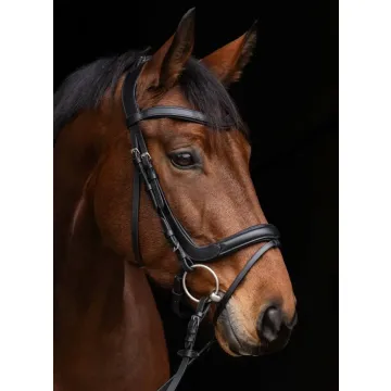 Ogłowie dla konia anatomiczne Covalliero