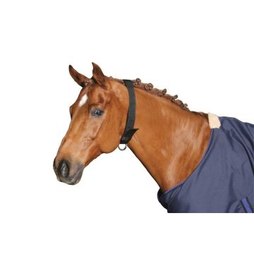 Obroża dla konia nylonowa Covalliero