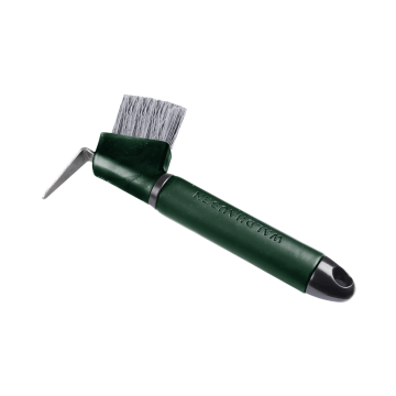 Szczotkokopystka Waldhausen