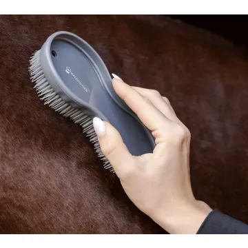 Szczotki brush zestaw Waldhausen „Wszystko w jednym”