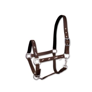 Kantar API Active Horses