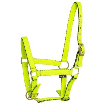 Kantar dla źrebaka API BABY