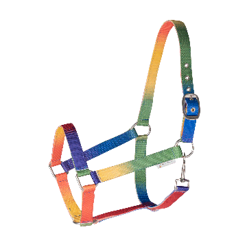Kantar w neonowych kolorach VB/WB