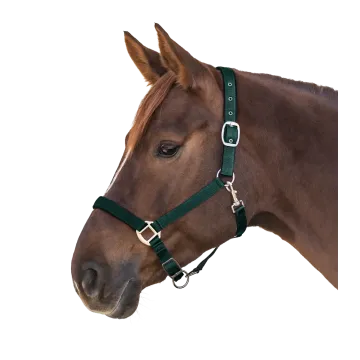 Kantar Waldhausen Satin