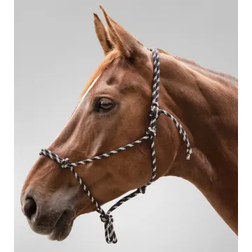 Kantar sznurkowy Waldhausen