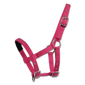 Kantar Waldhausen MINI SHETTY