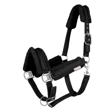 Kantar Waldhausen Sparkel