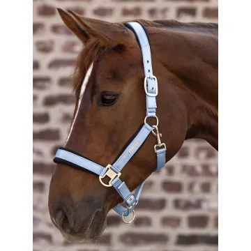 Kantar Waldhausen Breath