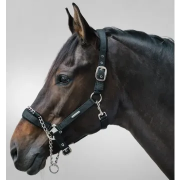 Kantar z łańcuszkiem Waldhausen Pro Safety