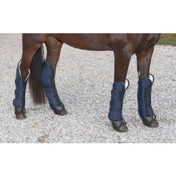 Ochraniacze transportowe Dexter Covalliero