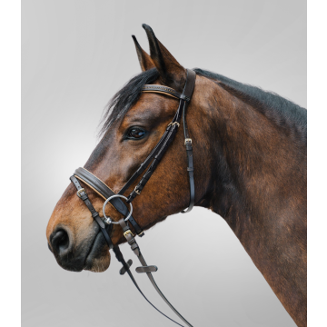 Ogłowie STAR Diamant