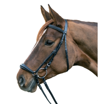 Ogłowie STAR Hanover