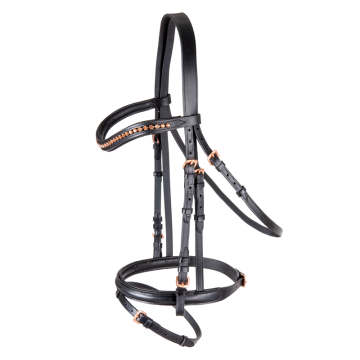 Ogłowie Star Rosemary