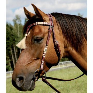 Śrubki do ogłowia West 1 cm