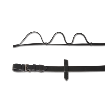 Wodze myśliwskie Waldhausen