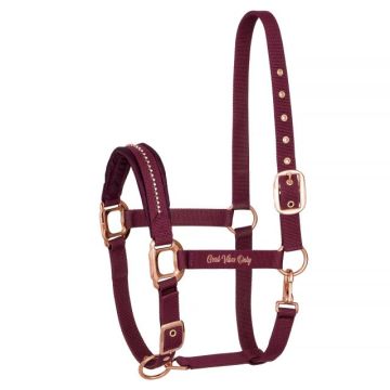 Kantar Equestrian Queen Amsterdam