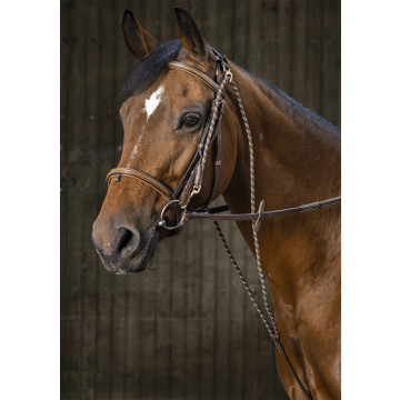 Czambon skórzany Eric Thomas Pro