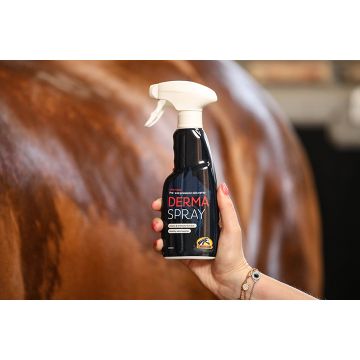 Spray na rany i podrażnienia dla konia Cavalor Derma Spray 250 ml