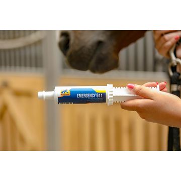 Pasta na problemy jelitowe konia Cavalor Emergency 911