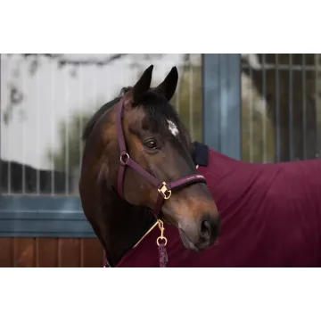 Kantar Eskadron Pin Buckle