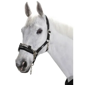 Kantar Eskadron Control Silding Buckle