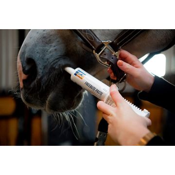 Pasta na elastyczne mięśnie i stawy konia Cavalor FreeBute Paste