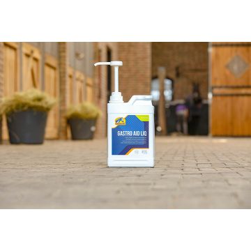 Suplement na wrzody u konia Cavalor Gastro Aid Liq 2 L