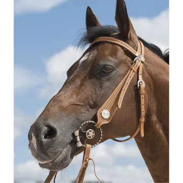 Ogłowie westernowe Westride Aurora