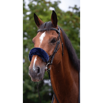 Ochraniacz na nachrapnik EquiTheme Teddy