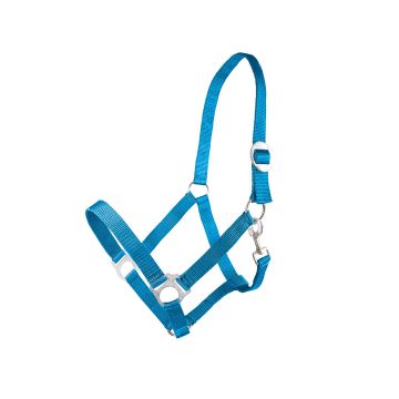 Kantar Canter Club BASIS