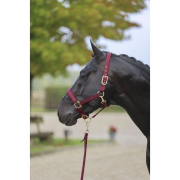Kantar dla konia Covalliero Classy