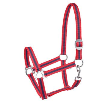 Kantar START Economic