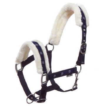 Kantar START Sunflower