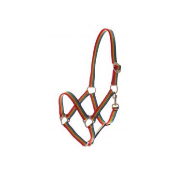 Kantar Mustang stajenny