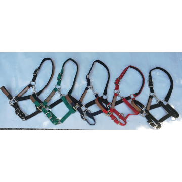 Kantar obszywany skórą Nowak