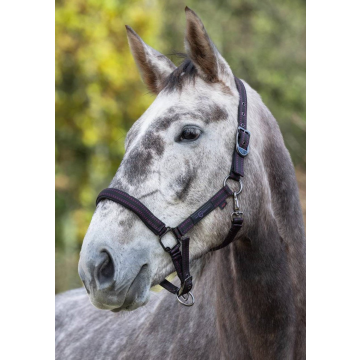Kantar dla konia Covalliero Royal