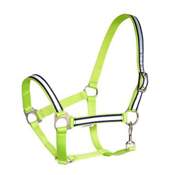 Kantar Reflex Mustang