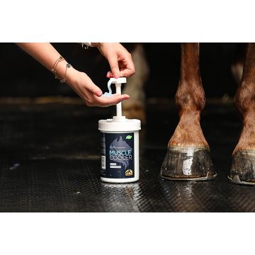 Płyn do chłodzenia mięśni konia Cavalor Muscle Cooler 1 L