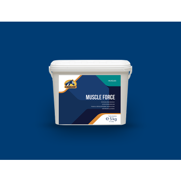 Suplement do budowy mięśni dla konia Cavalor Muscle Force 5 kg