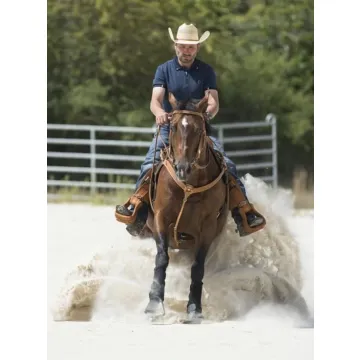 Napierśnik westernowy Westride Aurora