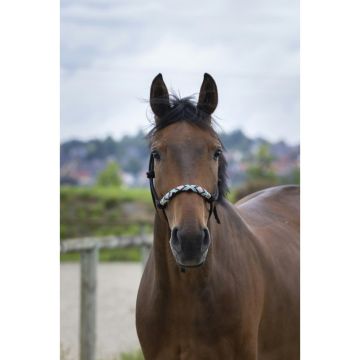 Kantar sznurkowy wykończenie nachrapnik perły